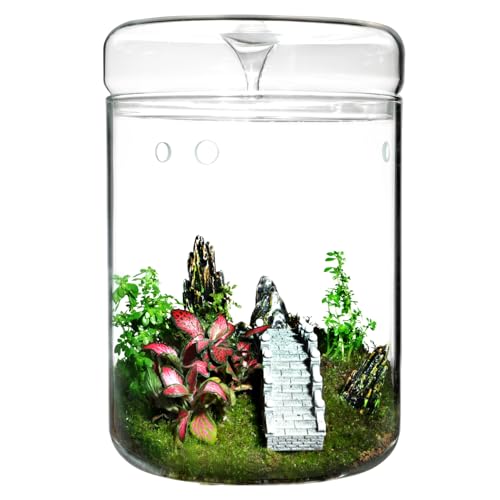 Small Glass Terrarium Jar with Lid – 4.7 x 7 Inch Closed Plant Terrarium for Succulents, Moss, Venus Fly Trap & Self-Sustaining Ecosystems – Ideal Indoor Decor for Home & Tabletop