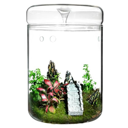 Small Glass Terrarium Jar with Lid – 4.7 x 7 Inch Closed Plant Terrarium for Succulents, Moss, Venus Fly Trap & Self-Sustaining Ecosystems – Ideal Indoor Decor for Home & Tabletop