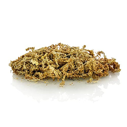 GARDENERA Premium Sphagnum Moss - Organic Hand Mixed New Zealand Long Fibered Sphagnum Moss Orchid - 1 Quart Bag - size: 1 QUART
