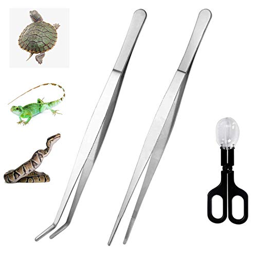 alfyng 15 Inch Reptile Feeding Tongs Long Tweezers Cricket Clamp Bug Scooper, 3 Pcs Stainless Steel Straight and Curved Tweezers Feeder Tool for Snake Lizard Gecko Spider Bearded Dragon - size: 15 inch (Pack of 3)