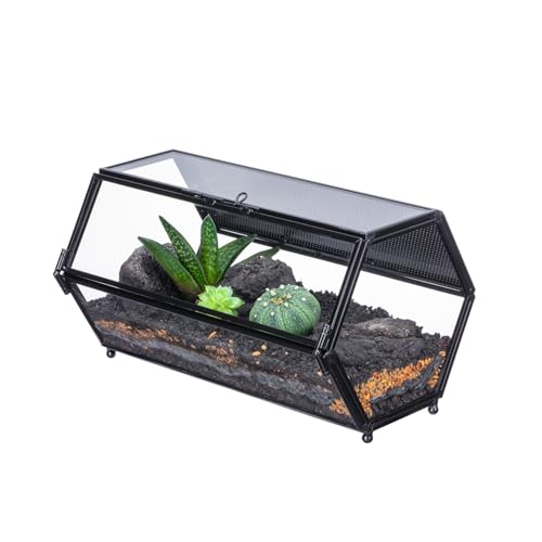 NCYP Small Glass Enclosure Terrarium with Mesh & Door for Tiny Beetle - Hexagon Jumping Spiders Vented Glass Terrarium 7.87'' x 4.52'' x 3.93'', Black (Plants Not Include) - size: 7.87'' x 4.52'' x 3.93''