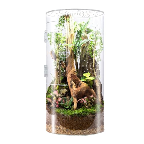 TOPINCN Acrylic Reptile Enclosure, Reptile Terrarium, Clear Transparent Cylindrical Tall Waterproofing Front Opening Door for Jumping Spider Tarantula Lizards Snails Vertical