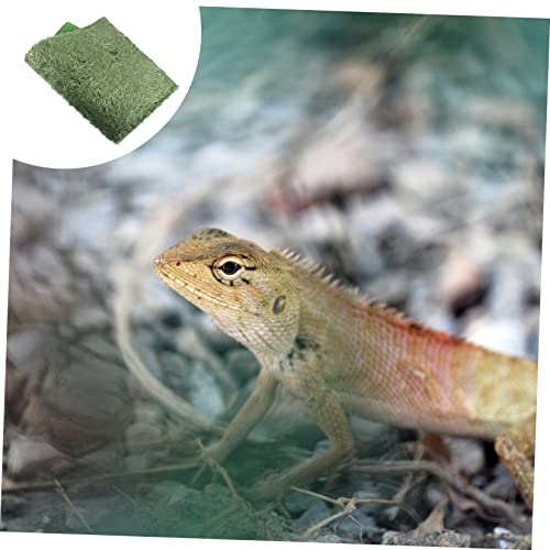 TEHAUX 2pcs Reptile Carpet Sphagnum Moss Lizard Tank Accessories Crested Gecko Supplies Reptile Supplies Terrarium Liner Bedding