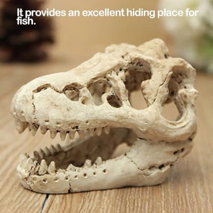 HEPBAK 1 Pcs Dragon Resin Aquarium/Terrarium Decoration Crocodile Skull for Fish Tank Resin Ornament Decorate Your Aquarium, White