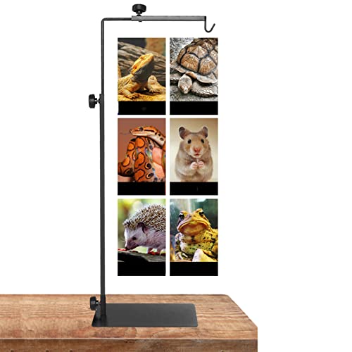 Adjustable Reptile Heat Light Stand, Reptile Lamp Stand with Card Slot Design, Metal Terrarium Basking Lamp Holder for Lizards Turtles Snakes Amphibians