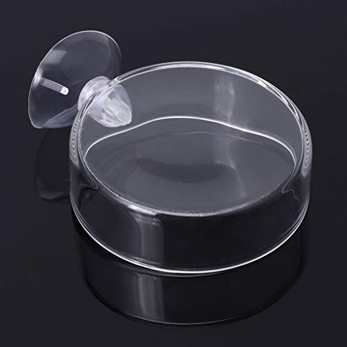 Shrimp Feeder Glass Feeding Dish Aquarium Fish For Tank Reptiles Round Clear Food Bowl With Suction Cups 2.4x0.7 Inch Shrimp Feeding Dish Shrimp Feeding Dish And Tube Shrimp Feeding Dish With Suction