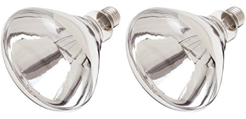 Satco Products S4999 250R40 Medium Base 1 Clear Heat Lamp (2 Pack)