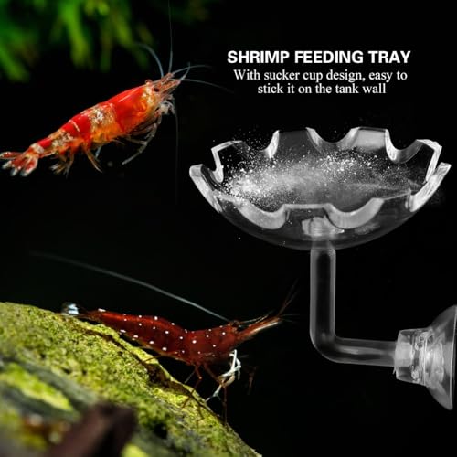 2.3in Acrylic Shrimp Feeding Dish Suction Cup Aquarium Bowl Smudge Resist Easy Clean for Hermit Crab Reptile Food