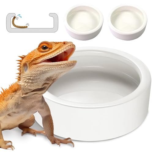 Worm Dish Large 2Pcs Reptile Food Water Bowl Lizard Gecko Ceramic Pet Bowls | Mealworms Bowl for Bearded Dragon Chameleon Hermit Crab Dubia Rock Reptile Cricket Dish Anti-Escape Mini Reptile Feeder - color: White, size: Large-2Pack