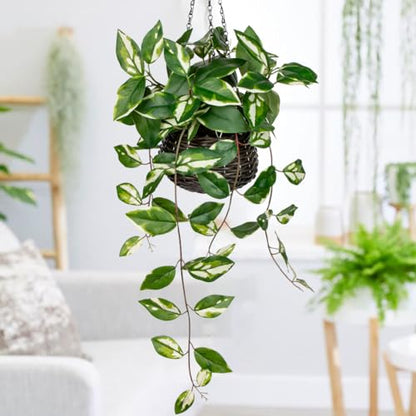 Oairse Artificial Hanging Plants Fake Hanging Plants with Pots Faux Golden Pothos N‘ Joy Potted Plant Wall Plant with Basket Pot for Wall Shelves Bedroom Bathroom Indoor Outdoor - color: Golden Pothos