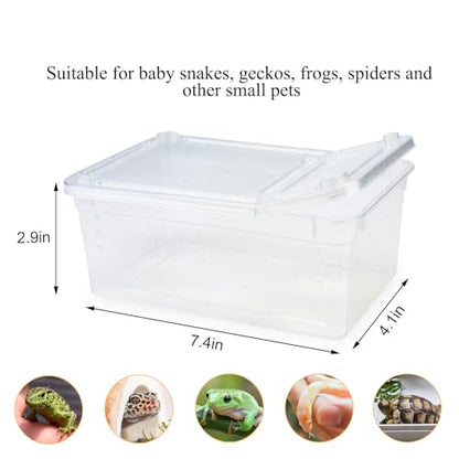Hypeety Small Reptile Breeding Box for Reptiles Small Snake Turtle Spiders Geckos Frogs Breeding Box Case Feeding Hatching Container Reptile Tank Terrarium