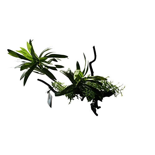 Plant on Tree Branch Artificial Aquarium Ornament 10 Inches Tall, Realistic Look and Feel Silk Plants on Driftwood, Resin Aquarium or Fish Tank Decoration