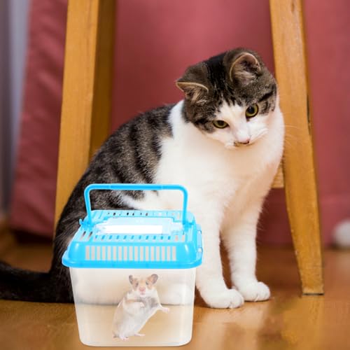 Transparent Pet Box for Reptiles and Small Animals 4.84X4.84X4.13 Inch Climbing Pet Feeding Container with Ventilation for Tortoise Gecko Habitat