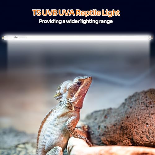 T5 HO 10.0 UVB Lamp Bulb 22" L 24 Watts, Reptile UVB Lamp Tube for Bearded Dragon - size: 22 inches