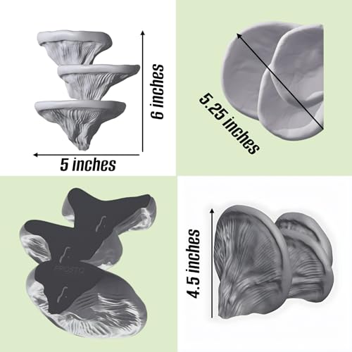 Mushroom Ledge for Terrarium – Climbing & Resting Platform with Suction Cups (Bone, 6''x4.5''x5.25'') - color: Bone