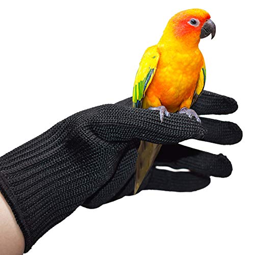 Petyoung Bird Training Anti-Bite Gloves, Small Animal Handling Gloves