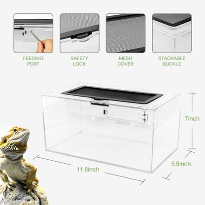 Reptile PC Terrarium Amphibian Tank Spider Enclosure Snake Cage 7x11.8x5.9inch Suitable for breeding Leopard Gecko,Frog,Hermit Crab,Lizards,Isopod,Tarantula,Turtles,Chameleons,Jumping Spiders - size: Large