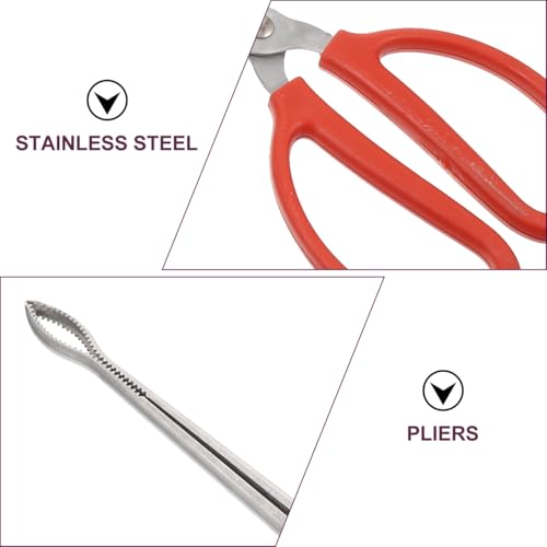 ULTECHNOVO Stainless Steel Snake Grabber Tool for Yard, 20.50" Curved Serrated Long Handle Eel Tongs, Heavy Duty Fish Loach Clamp & Chestnut Picker for Outdoor Camping Gardening