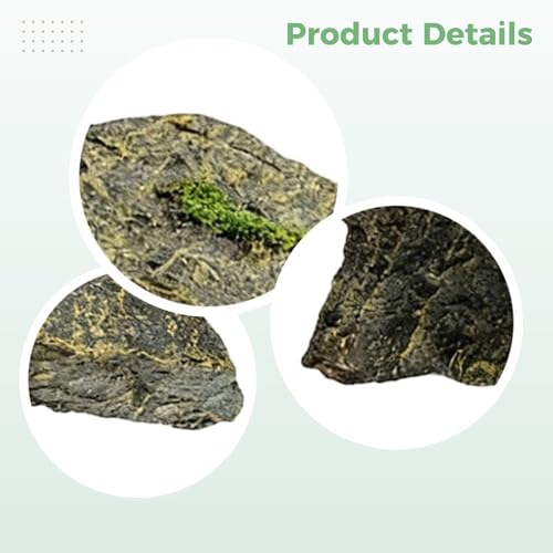 Resin Hideout Cave, 10.6 in / 27 cm, a Reptile Basking Platform with Gentle Slope and Flat Top, Safe and Long-Lasting Aquarium Ornament Rock for Small Reptiles, Natural Slate Design