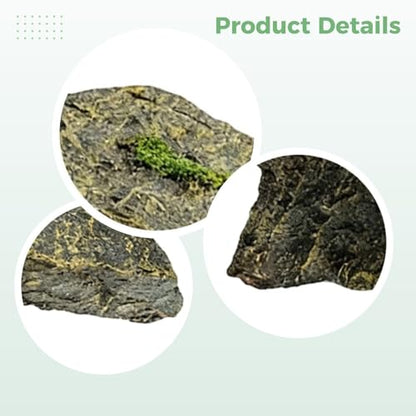 Resin Hideout Cave, 10.6 in / 27 cm, a Reptile Basking Platform with Gentle Slope and Flat Top, Safe and Long-Lasting Aquarium Ornament Rock for Small Reptiles, Natural Slate Design