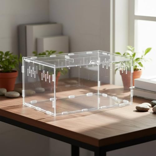 Acrylic Habitat Clear Observation Reptile Cage Secure Closure Multiple Ventilation Holes Suitable for Pet Feeding Home Display, Double Door Double - style: Double Door Double