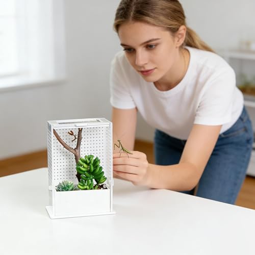 Acrylic Tank, Praying Mantis Enclosure, 12x12x12 Inches Clear Terrarium with Ventilation Mesh, Reptile Habitat, Cage with Secure Lid, Enclosure for Small Reptiles and Spiders - size: Small