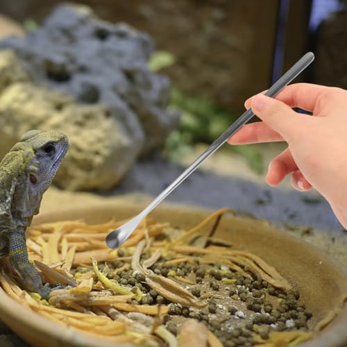 Housoutil 3pcs Lizard Feeding Spoons Handle Pet Food Tools for Bearded Dragon Reptiles Easy to Use Feeding Utensils - color: As Shown