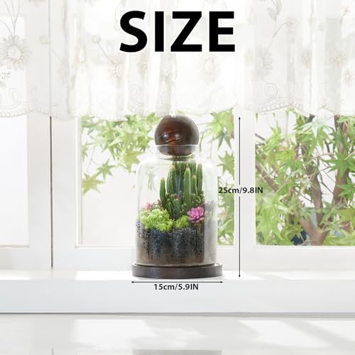 Yangbaga Large Glass Terrarium Succulent Plant Terrarium House for Plant/Moss Ball/Glass Fish Tank Table with Wood Base & Ball lid Office Home Decoration - size: H-9.8IN