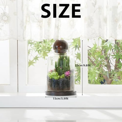 Yangbaga Large Glass Terrarium Succulent Plant Terrarium House for Plant/Moss Ball/Glass Fish Tank Table with Wood Base & Ball lid Office Home Decoration - size: H-9.8IN