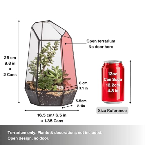 NCYP No Door Geometric Glass Terrarium Planter for Small Succulent, Small Cacti, Black Irregular Opened Terrarium Pot, Indoor Home Garden Office Tabletop Decor, 6.5" x 5.7" x 9.8" (No Plants) - size: 6.5"x5.7"x9.8"