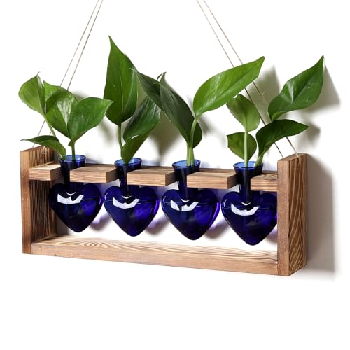 Heart Plant Terrarium Kit Gift for Women Plant Lover Glass Vases - color: Blue