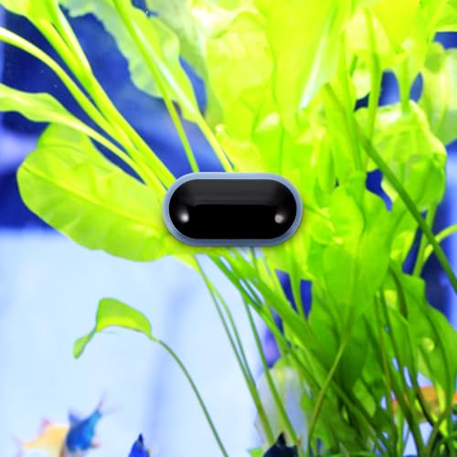 POPETPOP Digital Aquarium Thermometer with Large Clear LED Screen Reusable Adhesive Fish Tank Temperature Gauge for Freshwater and Reptile Tanks Accurate External Water Temp Monitor for