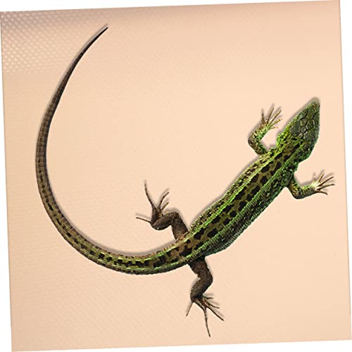 SUPVOX Reptile Cage Mat for Bearded Dragons Snakes and Lizards Eva Terrarium Bedding Nonslip Reptile Carpet for Easy Cleaning - color: Beige