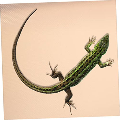 SUPVOX Reptile Cage Mat for Bearded Dragons Snakes and Lizards Eva Terrarium Bedding Nonslip Reptile Carpet for Easy Cleaning - color: Beige