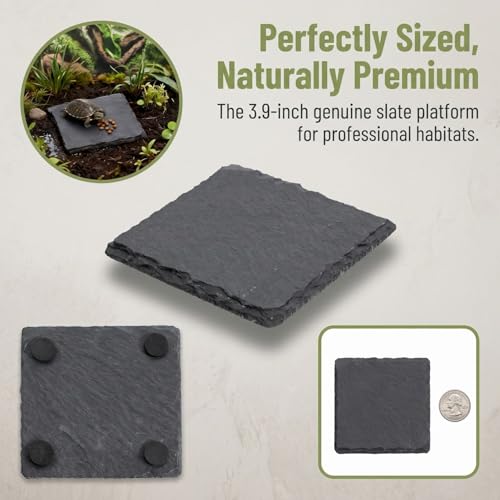 Turtle Basking Platform Slate Reptile Basking Slate Platform for Turtles 3.9 x 3.9 Inch Natural Stone Tortoise Bearded Dragon Lizard Chameleon Gecko Terrarium Accessory