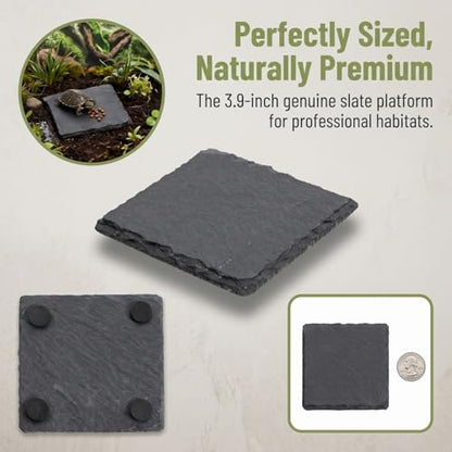 Turtle Basking Platform Slate Reptile Basking Slate Platform for Turtles 3.9 x 3.9 Inch Natural Stone Tortoise Bearded Dragon Lizard Chameleon Gecko Terrarium Accessory