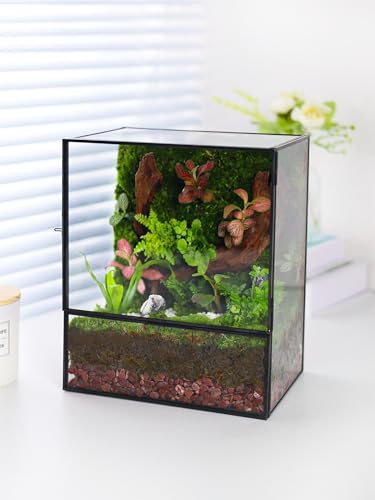 REDHUGO Glass Planter Terrariums with Door, Glass Terrarium Glass Greenhouse, Geometric Plants Terrariums Planter for Moss, Succulent, Indoor Tabletop Centerpiece, Rectangle, Black (Terrarium ONLY) - color: Black