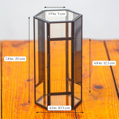 NCYP Glass Enclosure Terrarium with Mesh and Door for Small Spiders - Hexagon Shape, Small Mantis Vented Glass Terrarium 4.1'' x 3.6'' x 7.8'', Tabletop Decor, Black (Plants Not Include) - size: 4.1'' x 3.6'' x 7.8''