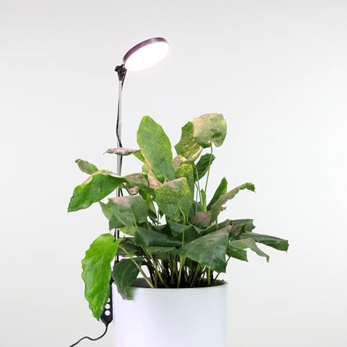 Mossify LED Grow Lights for Indoor Plants Full Spectrum – Adjustable Height (8”-28”), Dimmable Brightness, Programmable Timer, Long Lifespan – Ideal Grow Lights for Healthy Plant & Houseplants (Black) - color: Black