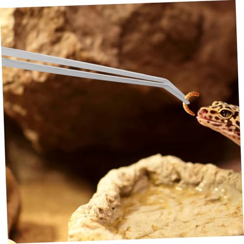 TOYANDONA Aquascaping Tweezers Long Tweezers for Fish Bone Reptile Feeding Tongs Precision Stainless Steel Fish Tank Tools