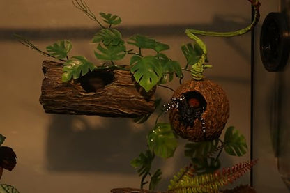 AQUA KT Reptile Jumping Spider Enclosure Hideout Hide Rock with Climbing Vine for Small Insects Jumping Tarantulas Amphibian Terrariums Habitat Decoration