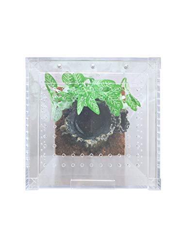 Herpcult Magnetic Acrylic Small Tall Enclosure 6 x 6 x 9.5