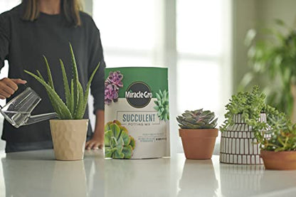 Miracle-Gro Succulent Potting Mix, 4 qt. (2-Pack) | Potting Soil Mix for Indoor Succulents, Aloe Vera and More, Made with Miracle-Gro Plant Food - size: 2 Pack, style: Succulent