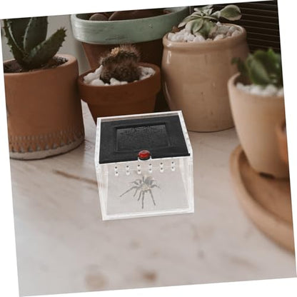 Small Animal Breeding Box Acrylic Reptile Case Waterfall for Lizards Spiders Easy Viewing Design