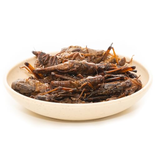 6 Pack Canned Grasshoppers for Reptiles, Fish, Birds and Small Animals, Grasshoppers, Healthy High Protein Treat, Bearded Dragon Food 7.2 Ounces Total