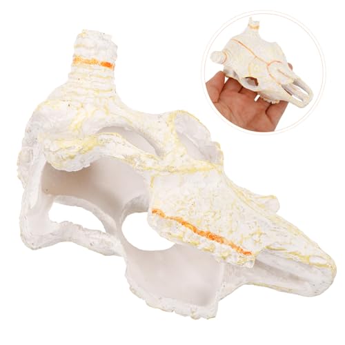 VICASKY Reptile Skull Hideout for Fish Tank Unique Resin Decoration for Aquariums and Terrariums Durable Faux Animal Skull Molding for Pet Reptiles