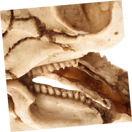 Dinosaur Skull Aquarium Decoration Resin Fish Tank Hideout for Reptiles Turtles and Aquatic Pets Unique Habitat Ornament for Decor
