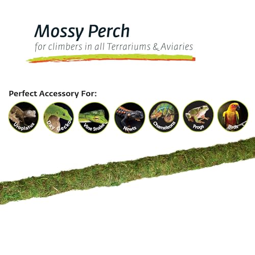 Galapagos (22210) Mossy Perch for Aquarium, 24", Fresh Green