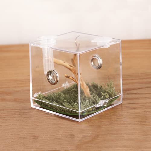 Jumping Spider Micro Big Habitat, Small Pet Insect Breeding Box, 360 Degree High Transparent Reptile Cage, Acrylic Case Mini Carrier for Amphibians, Feeding Container Enclosure Accessories - size: 2.6x2.6x2.7inches
