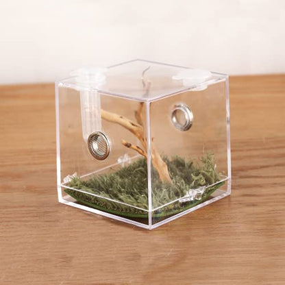Jumping Spider Micro Big Habitat, Small Pet Insect Breeding Box, 360 Degree High Transparent Reptile Cage, Acrylic Case Mini Carrier for Amphibians, Feeding Container Enclosure Accessories - size: 2.6x2.6x2.7inches